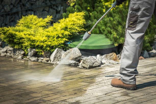 Best Dumpster Area Cleaning  in Tracy City, TN